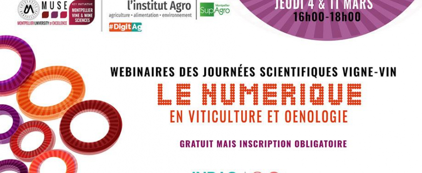 Journée Scientifique Vigne – Vin : le numérique en viticulture et œnologie
