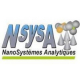 Groupe NanoSystèmes Analytiques Institut des Sciences Moléculaires